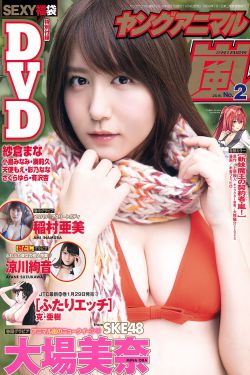 激战2野外简单又强